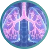 DraGM-pulmones DraGM-pulmones